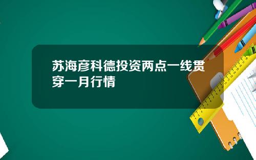 苏海彦科德投资两点一线贯穿一月行情