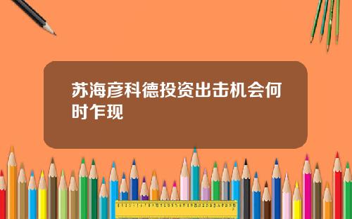 苏海彦科德投资出击机会何时乍现