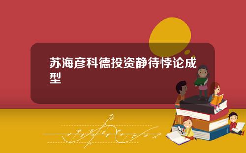 苏海彦科德投资静待悖论成型