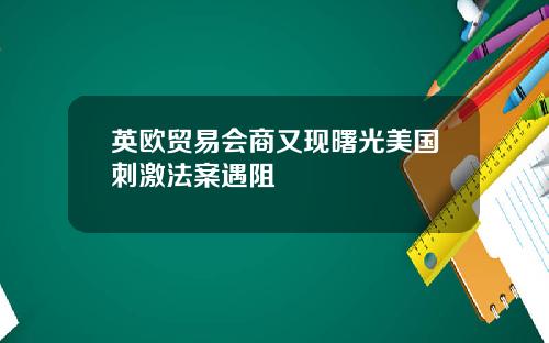英欧贸易会商又现曙光美国刺激法案遇阻