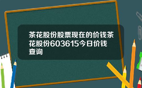 茶花股份股票现在的价钱茶花股份603615今日价钱查询
