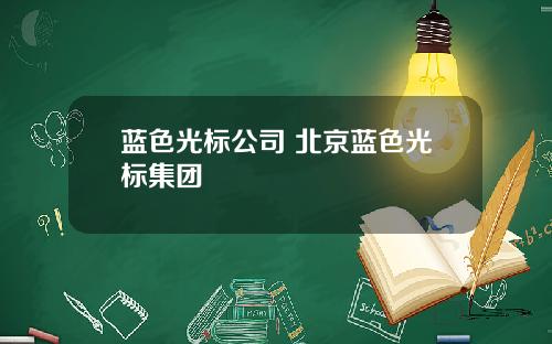 蓝色光标公司 北京蓝色光标集团