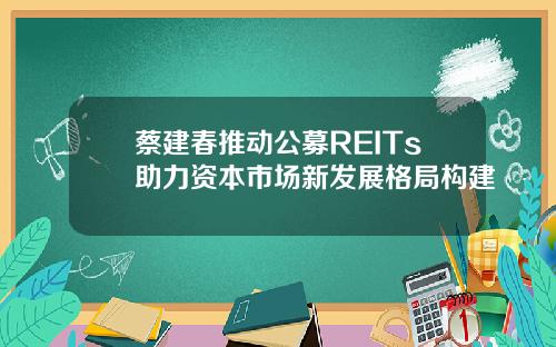 蔡建春推动公募REITs助力资本市场新发展格局构建