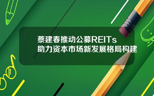蔡建春推动公募REITs助力资本市场新发展格局构建