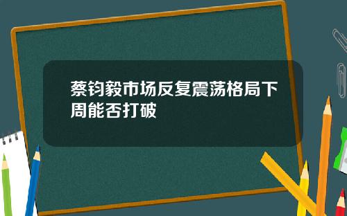 蔡钧毅市场反复震荡格局下周能否打破