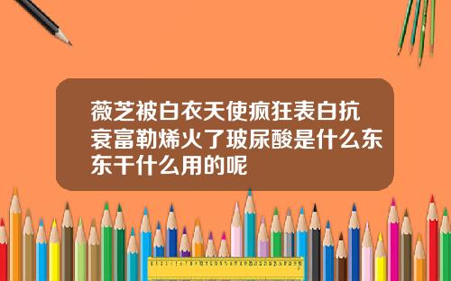 薇芝被白衣天使疯狂表白抗衰富勒烯火了玻尿酸是什么东东干什么用的呢