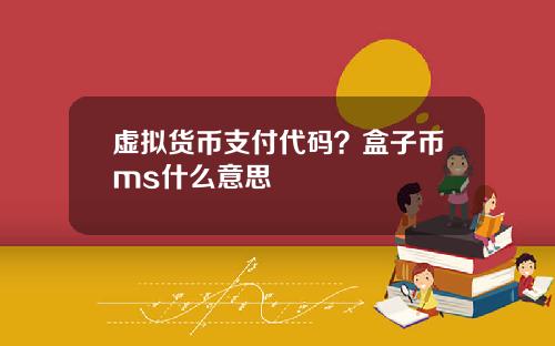 虚拟货币支付代码？盒子币ms什么意思