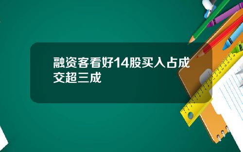融资客看好14股买入占成交超三成