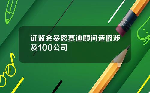 证监会暴怒赛迪顾问造假涉及100公司
