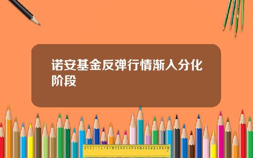 诺安基金反弹行情渐入分化阶段