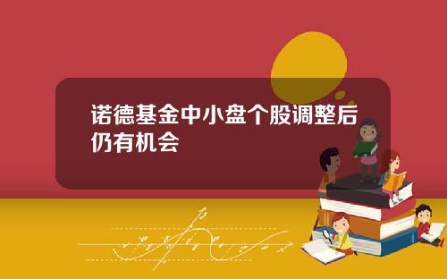 诺德基金中小盘个股调整后仍有机会