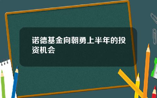 诺德基金向朝勇上半年的投资机会