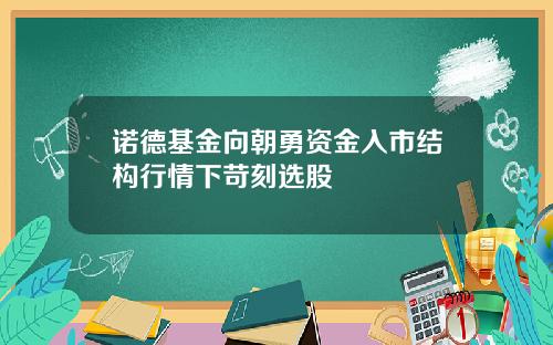 诺德基金向朝勇资金入市结构行情下苛刻选股