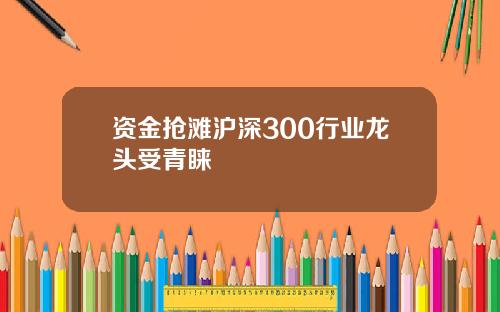 资金抢滩沪深300行业龙头受青睐