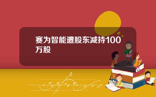 赛为智能遭股东减持100万股