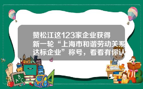 赞松江这123家企业获得新一轮“上海市和谐劳动关系达标企业”称号，看看有你认识的吗？