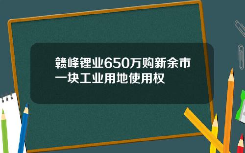 赣峰锂业650万购新余市一块工业用地使用权
