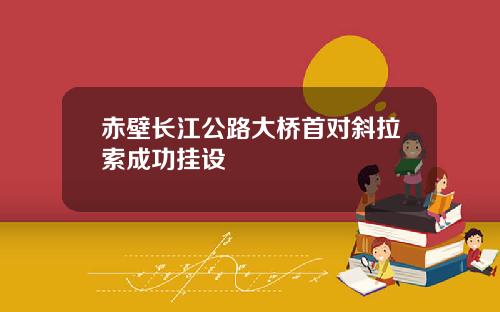 赤壁长江公路大桥首对斜拉索成功挂设