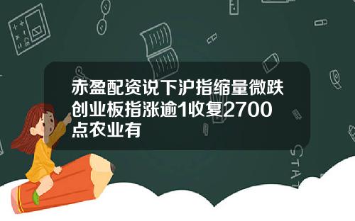 赤盈配资说下沪指缩量微跌创业板指涨逾1收复2700点农业有