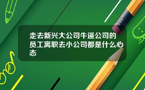 走去新兴大公司牛逼公司的员工离职去小公司都是什么心态