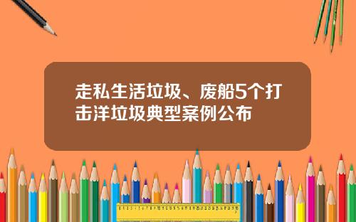 走私生活垃圾、废船5个打击洋垃圾典型案例公布