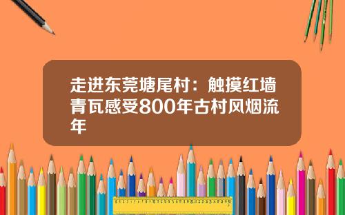 走进东莞塘尾村：触摸红墙青瓦感受800年古村风烟流年
