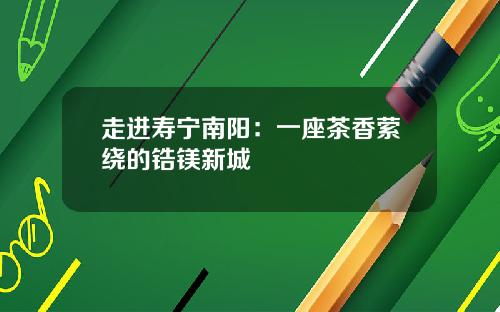 走进寿宁南阳：一座茶香萦绕的锆镁新城