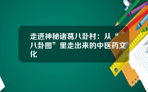 走进神秘诸葛八卦村：从“八卦图”里走出来的中医药文化
