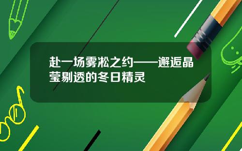 赴一场雾凇之约——邂逅晶莹剔透的冬日精灵