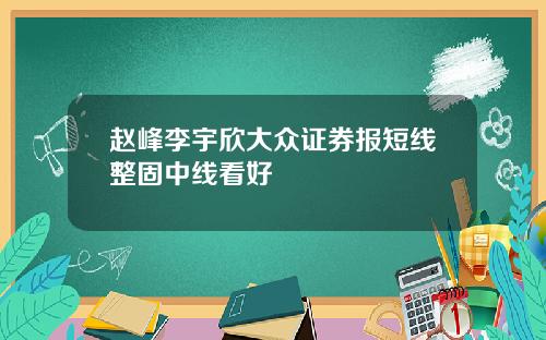 赵峰李宇欣大众证券报短线整固中线看好