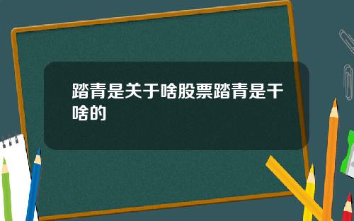踏青是关于啥股票踏青是干啥的