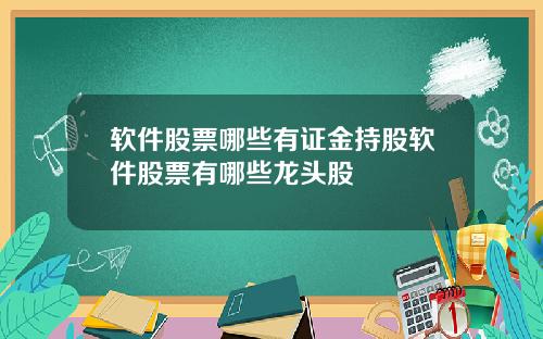 软件股票哪些有证金持股软件股票有哪些龙头股