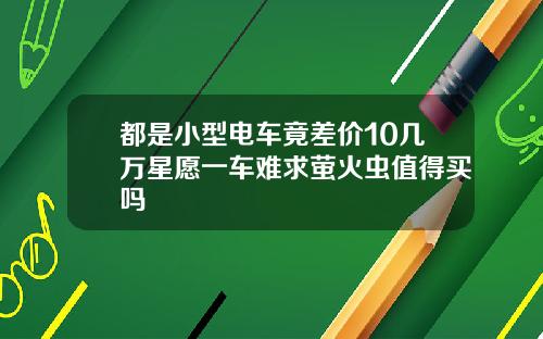 都是小型电车竟差价10几万星愿一车难求萤火虫值得买吗