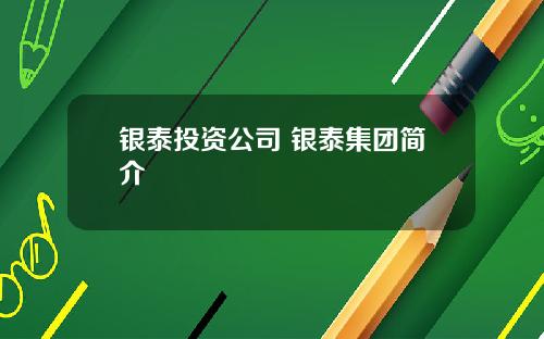 银泰投资公司 银泰集团简介