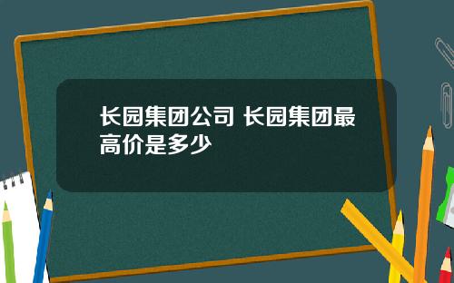 长园集团公司 长园集团最高价是多少
