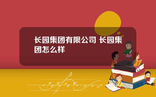 长园集团有限公司 长园集团怎么样