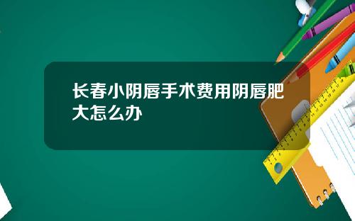长春小阴唇手术费用阴唇肥大怎么办