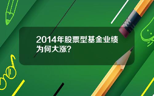 2014年股票型基金业绩为何大涨?