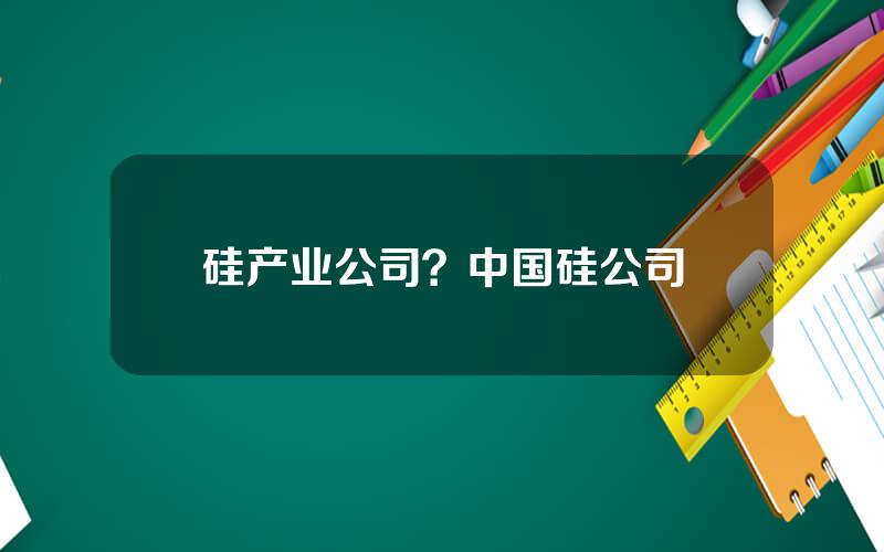 硅产业公司？中国硅公司