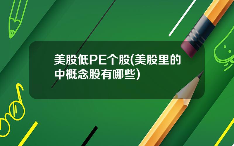 美股低PE个股(美股里的中概念股有哪些)