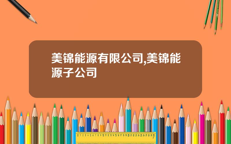 美锦能源有限公司,美锦能源子公司