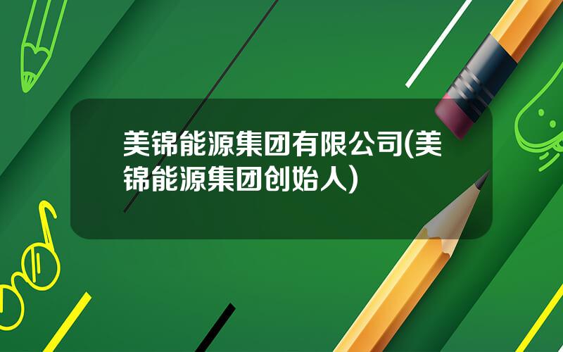 美锦能源集团有限公司(美锦能源集团创始人)