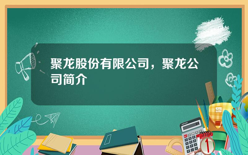聚龙股份有限公司，聚龙公司简介