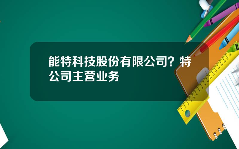 能特科技股份有限公司？特公司主营业务