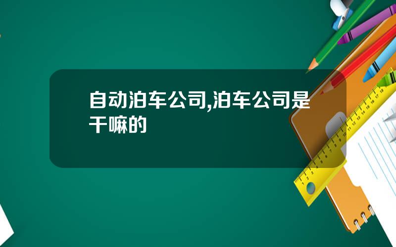 自动泊车公司,泊车公司是干嘛的