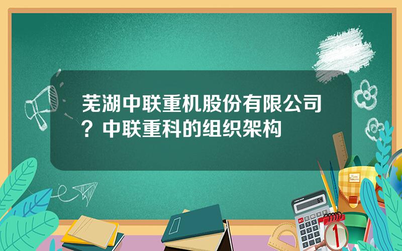 芜湖中联重机股份有限公司？中联重科的组织架构