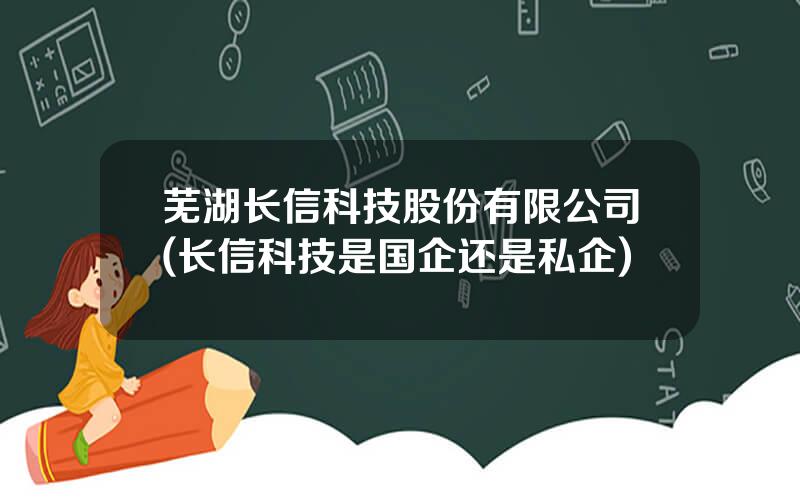 芜湖长信科技股份有限公司(长信科技是国企还是私企)