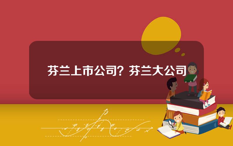 芬兰上市公司？芬兰大公司