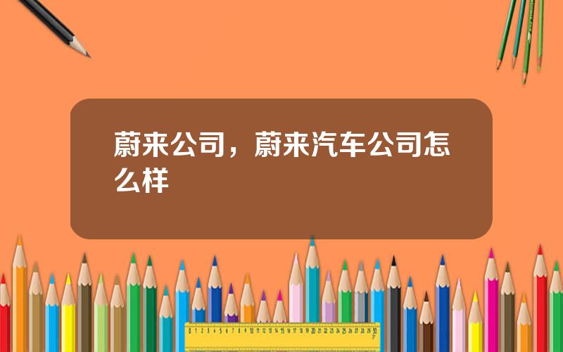 蔚来公司，蔚来汽车公司怎么样