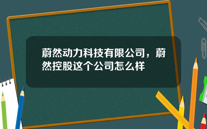 蔚然动力科技有限公司，蔚然控股这个公司怎么样